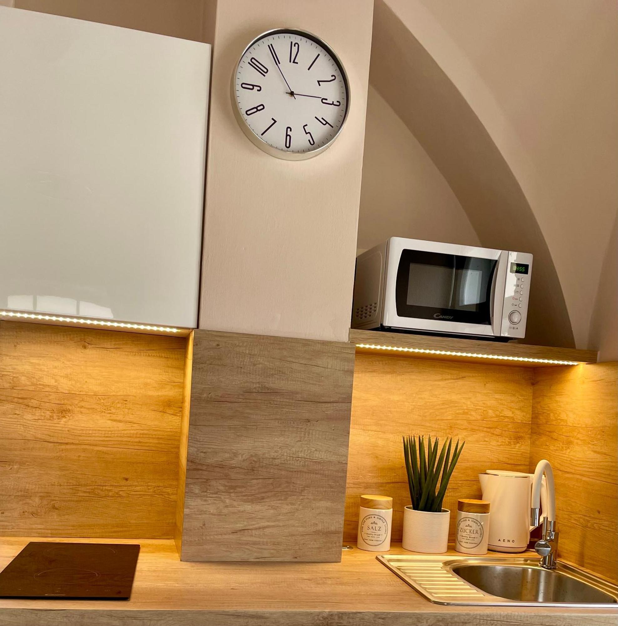 Apartman Dominikanska Litoměřice المظهر الخارجي الصورة